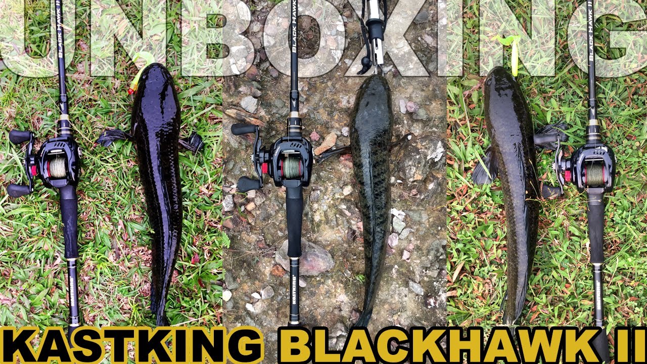 Kastking BlackHawk II Telescopic Rod - Unboxing & First Impression (ENG  SUB) 