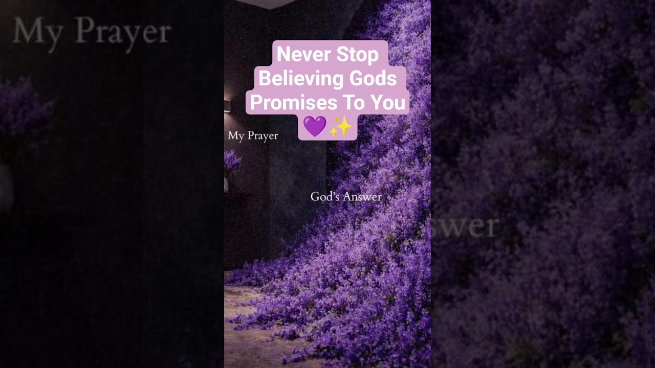 Talk To Jesus Eachday , Pray Often , Ready You're Bible Daily ✨️💜✨️💜🙏🏽😊