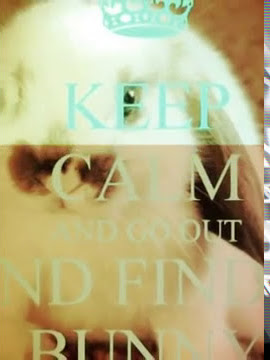 le mie foto di keep calm  (Created with @Magisto)