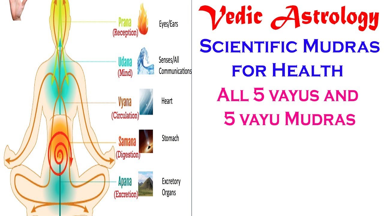 about five vayus and five vayu mudras 16 youtube