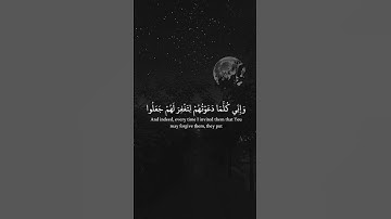 قَالَ رَبِّ إِنِّي دَعَوْتُ قَوْمِي لَيْلًا وَنَهَارًا - ماهر المعيقلي - سورة نوح
