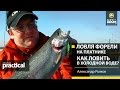 Ловля форели на платнике. Как ловить в холодной воде? Александр Рыжов. Anglers Practical