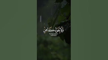 تلاوة جميله للقارئ شريف مصطفى 🍃🤍