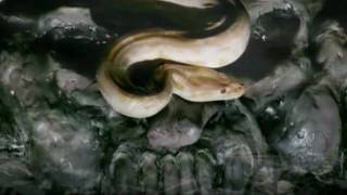 Dimmu Borgir   Progenies of the great apocalypse HD