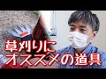 草刈りにオススメの道具（芝用電動バリカン）vlog