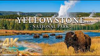 Yellowstone National Park 4K - Geothermal Wonders, Wild Landscapes & America's Natural Masterpiece