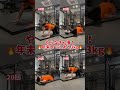 腹筋痩せ4種トレ!各20回!#shorts #下っ腹 #お腹痩せ #お腹やせ #全身痩せ
