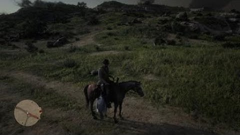 Red Dead Redemption 2 best random encounter