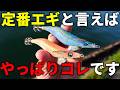 キレキレダートがイカを狂わせる。あえて今紹介したい定番エギ【第二回：エギ王LIVE】