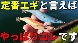 キレキレダートがイカを狂わせる。あえて今紹介したい定番エギ【第二回：エギ王LIVE】