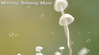 Relaxing meditation music in the woods 🎵 Morning music, yoga, healing