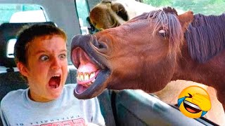 Best Funny Animal Videos 2022 😺 - Funniest And Cute Dogs And Cats Videos 😁😇