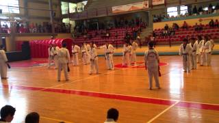 Exhibición Diada Pau Inca9