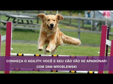 Vídeo: Conheça as 6 novas raças competindo no Westminster Dog Show