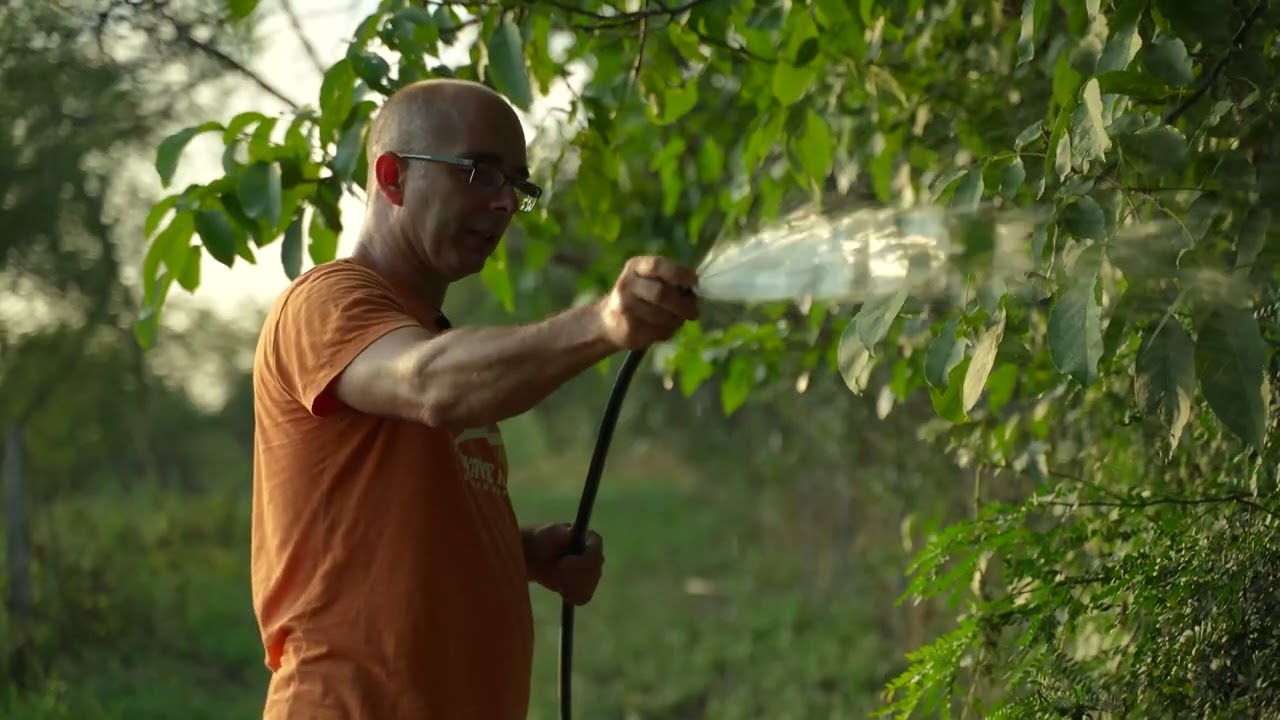 Tajna mog vrta ep. 244 03.10.2025. Korovi i sređivanje vrta, blitva i vinograd, hodajući luk