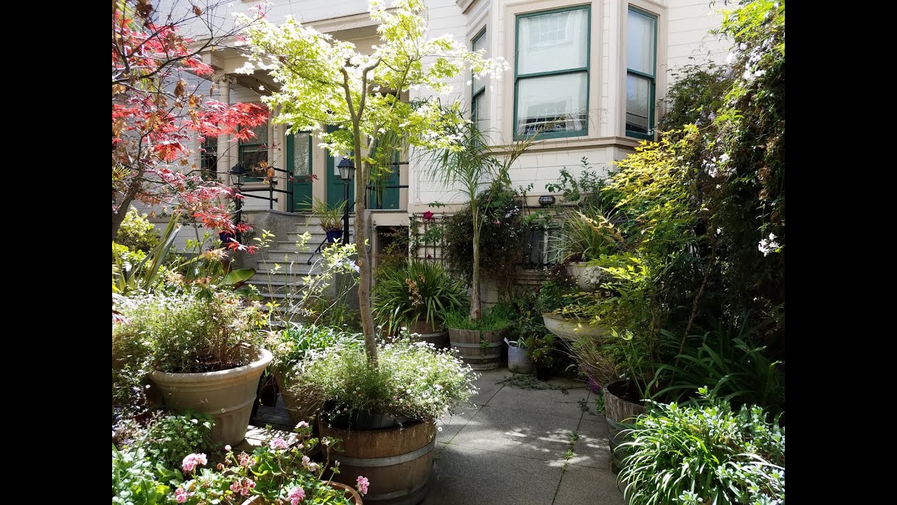 444B Guerrero Street San Francisco, CA 94110