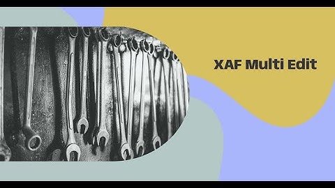 XAF Blazor - Multiple Edits in ListView