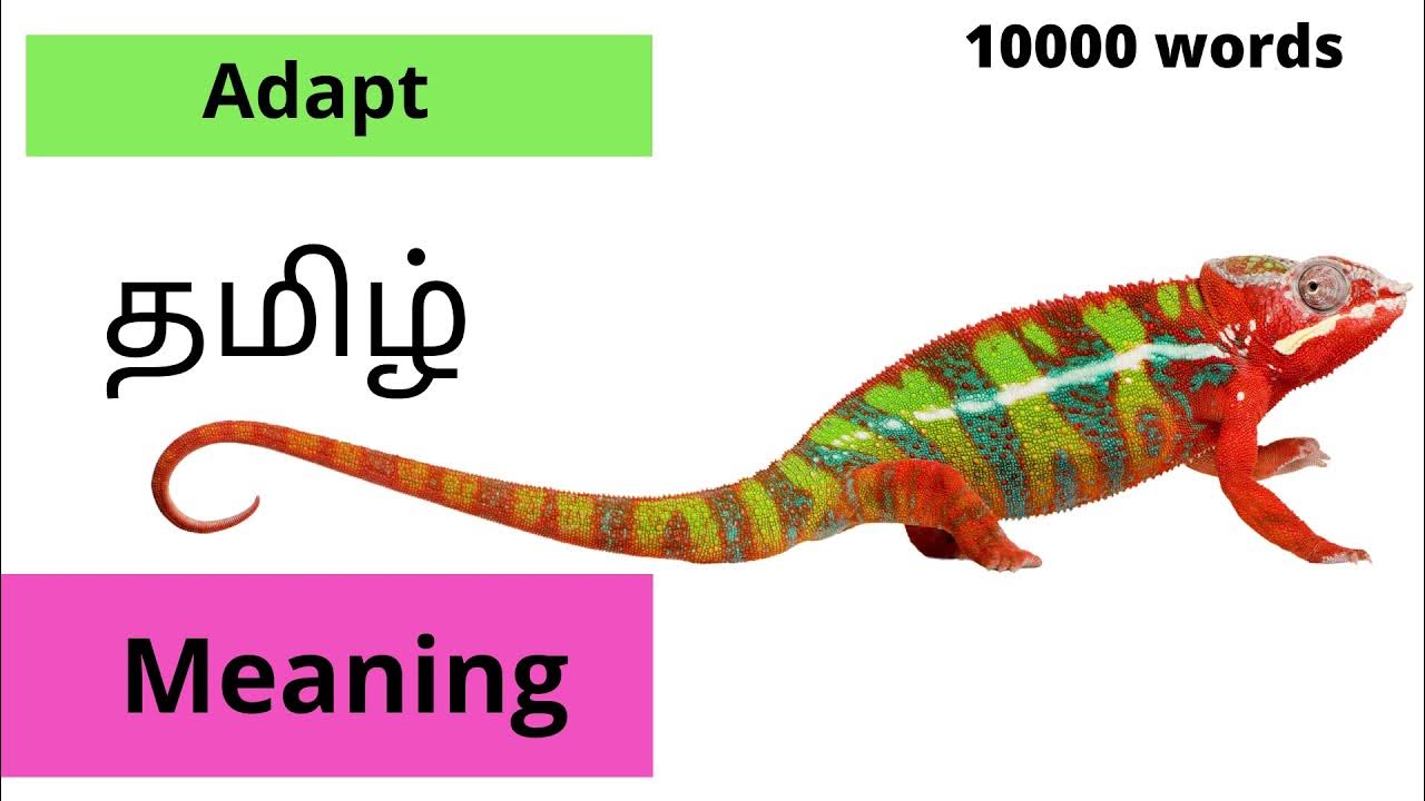 Adapt Meaning In Tamil Adopt In Tamil Adapt Vs Adopt Adopt In Tamil adapt-meaning-in-tamil-adopt-in-tamil-adapt-vs-adopt-adopt-in-tamil