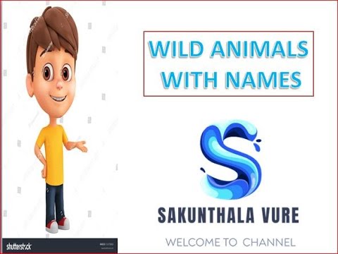 WILD ANIMALS WITH NAMES - YouTube