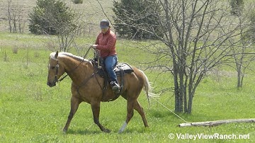 TF Cashsmrbarbiedoll - dragging GIANT log! - ValleyViewRanch.net