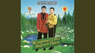 Download Lagu Care Frunza Pica Jos, Astazi Pentru Miri Cantam MP3 Download Lagu Care Frunza Pica Jos, Astazi Pentru Miri Cantam MP3