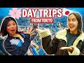 TOP 17 Day Trips from Tokyo - Mountains, Beaches, Old Japan & More!