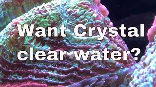 How to get crystal clear water in a reef tank