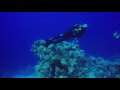 Tiran Ras Mohamed May 2017 By Onie Tsabari Tiran Ras Mohamed May 2017 By Onie Tsabari