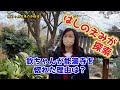 はしのえみが調査！　欽ちゃん能満寺を気に入った理由は？