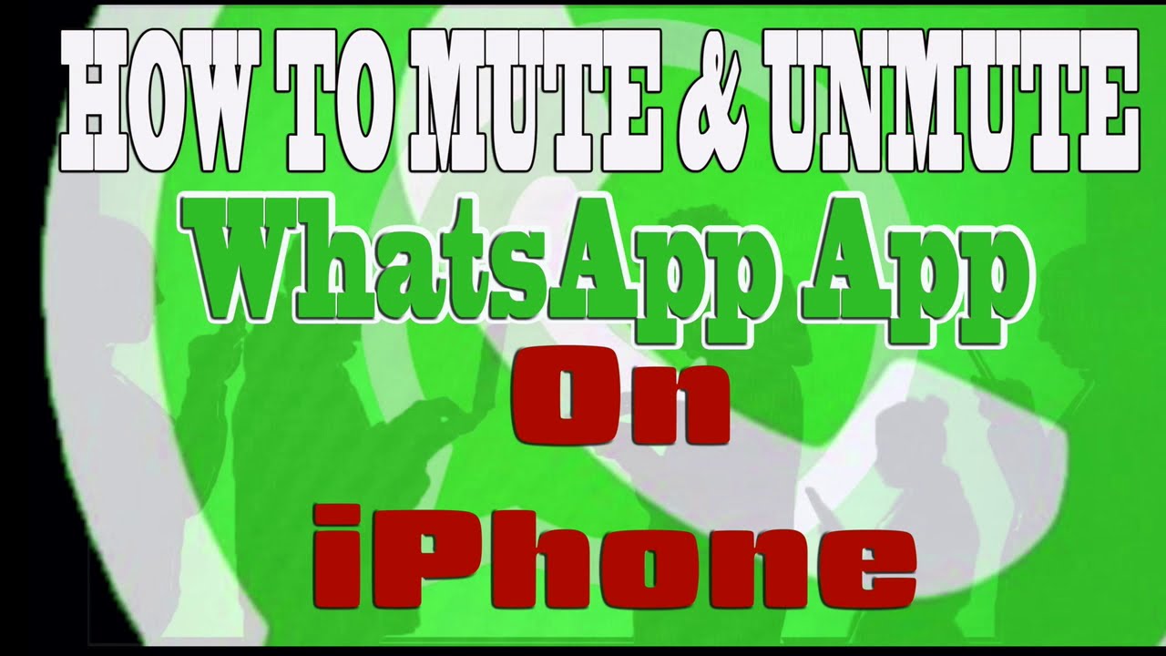 HOW TO MUTE & UNMUTE WhatsApp ON AN iPhone YouTube