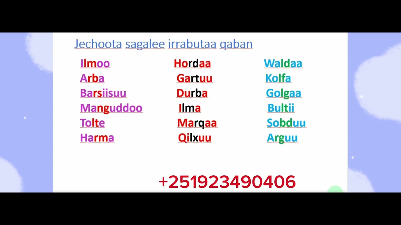 Afaan Oromoo Jechoota sagalee irra butaa qabanFi laafaa fi jabaa #study Afaan Oromoo#Amharic English