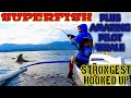 THE SUPERFISH THAT I HOOKED UP IN JIGGING IN AMBULONG REEF | Plus actual video of PILOT WHALE