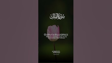 سورة ص أيات تلامس القلوب وتبعث السكينة والراحة النفسية | Surah Sad Heart-touching Verses Bringing