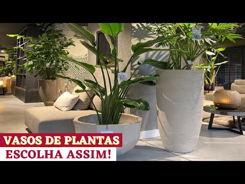 Vídeo: Plantas de casa e design de interiores: plantas de casa para combinar com meu estilo