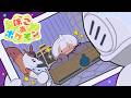 【ぽこあポケモン】ヒム=ザイードうおwう国に帰還【イブラヒム/にじさんじ】