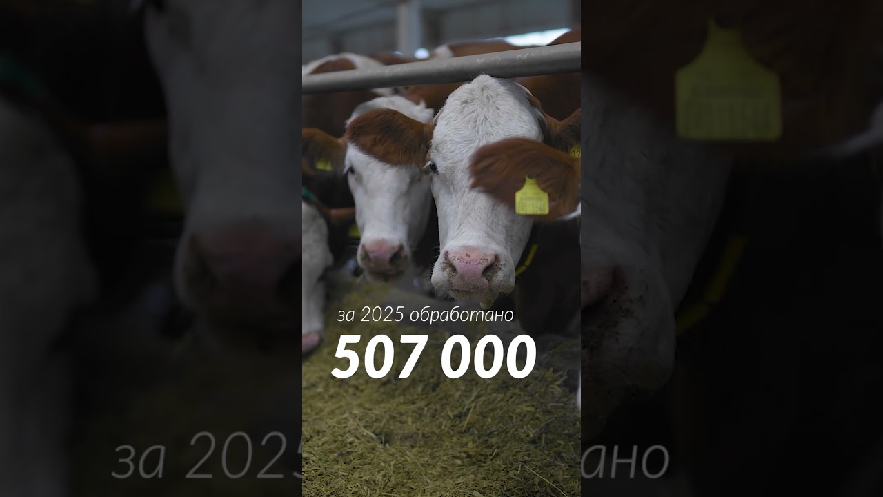 Что приобретает клиент на самом деле?  