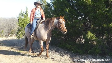 Good Southern Gentry - trail, logs, water! - ValleyViewRanch.net