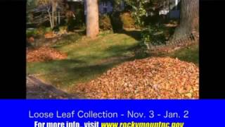 Rocky Mount Housing: Loose Leaf Pickup in 2015