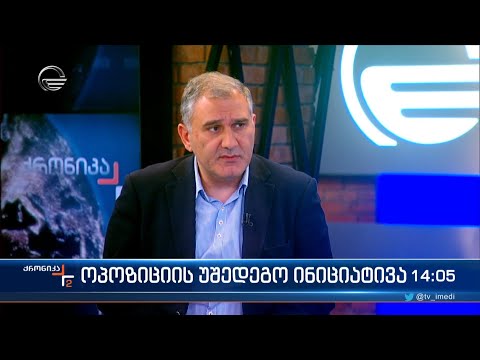 ოპოზიციის უშედეგო ინიციატივა