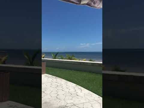 Baile de Salsa Rueda de Casino para celebrar a belkis en La Bodeguita del Medio Puerto Vallarta