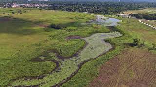 4K Drone Footage of Springbrook Prairie in Naperville, IL