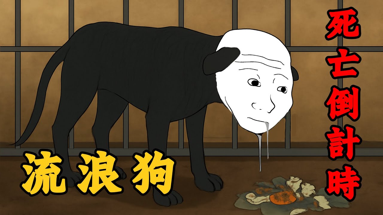 流浪狗的生命倒數計時 | Wojak | 動畫 | 動物 | 愛心