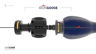 Accelus Linesidermongoose