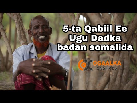 Shanta Qabiil Ee ugu Dadka badan Somalida || #OGAALKA_XAQIIQDA