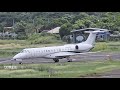 19042024 aroport de mayotte oiseau rouge