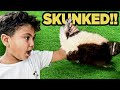 Boy gets prayed by skunk horrible