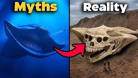 7 mythische wezens die echt hebben bestaan! Deel 4
