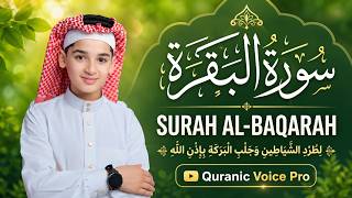 SURAH AL-BAQARAH سورة البقرة 📖 | Beautiful Full Quran Recitation for Peace and Protection