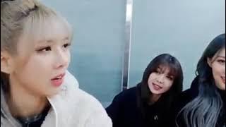 Yoohyeon Said Sua Unnie PABO!!!