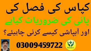 کپاس کی فصل کی پانی کی ضروریات کیاہے اور آبپاشی کیسے کرنی چاہیئے (03009459722)